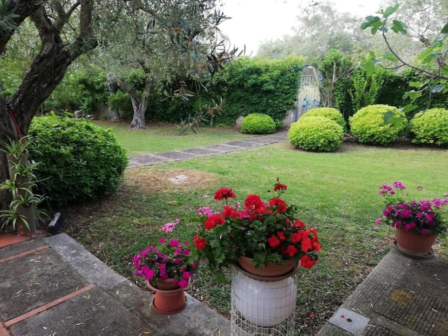 Villa Brezza Capaccio ภายนอก รูปภาพ